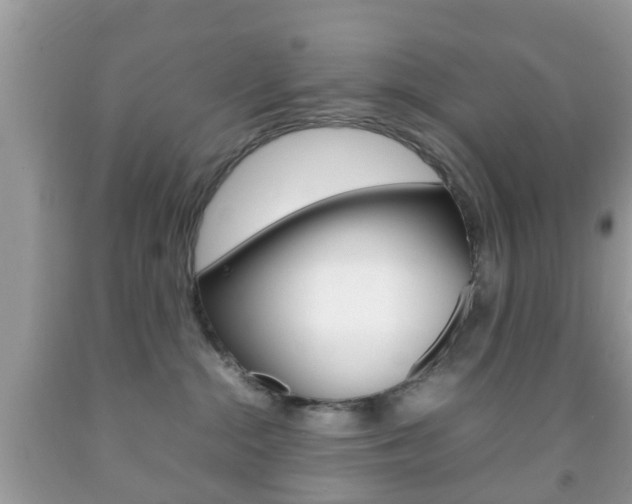 X0000092210284200709140907