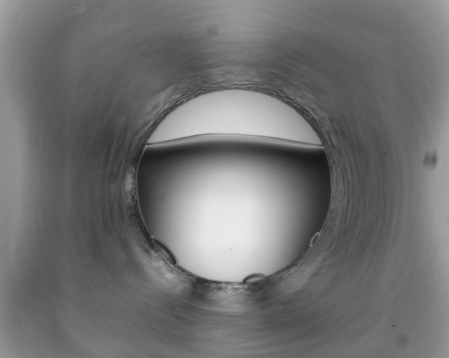 X0000092210288200709140907