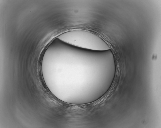 X0000092210290200709140907