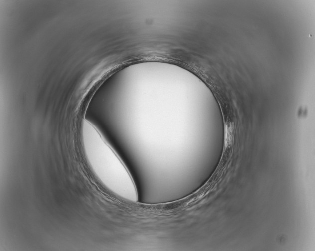X0000092210291200709140907