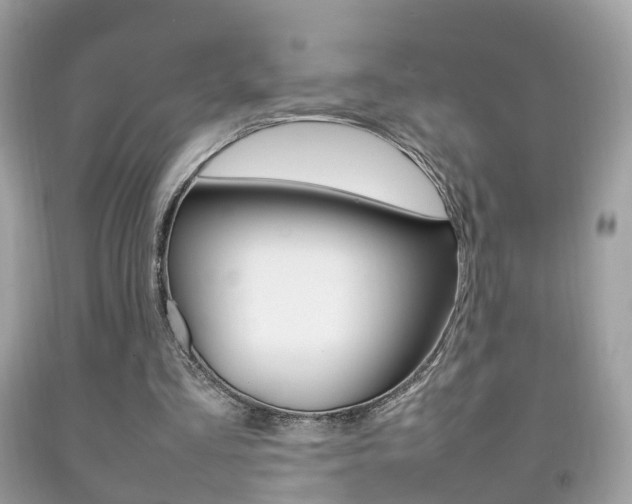 X0000092210293200709140907