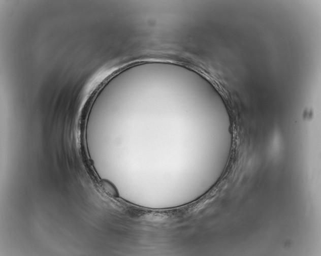 X0000092210294200709140907
