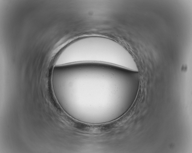 X0000092210295200709140907