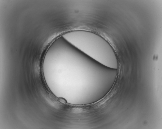 X0000092210298200709140907