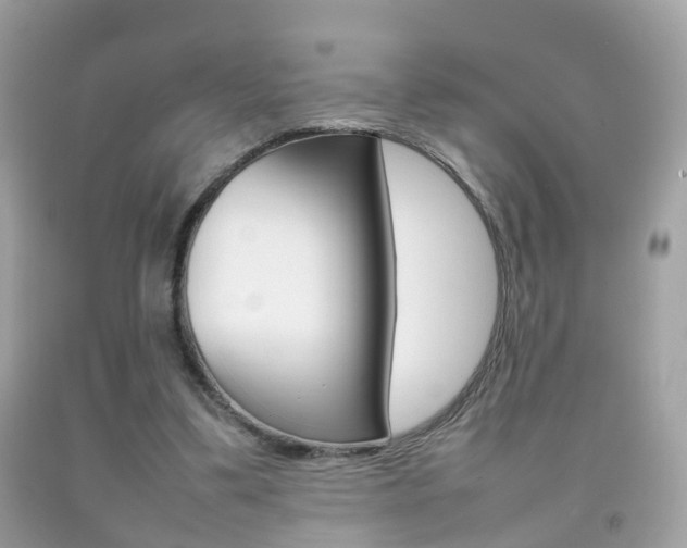 X0000092210299200709140907
