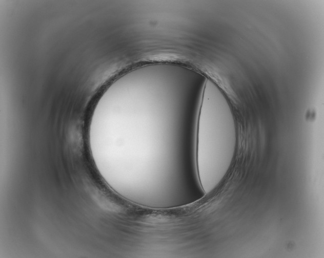 X0000092210300200709140907