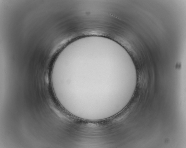 X0000092210302200709140907