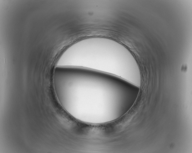 X0000092210303200709140907