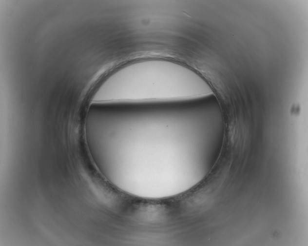 X0000092210304200709140907