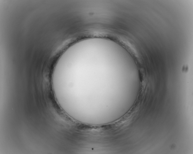 X0000092210306200709140907