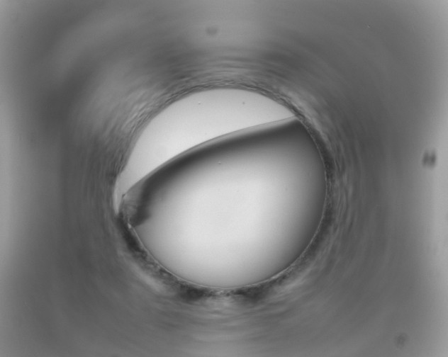 X0000092210307200709140906