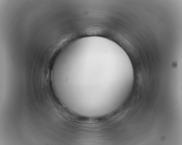 X0000092210308200709140906
