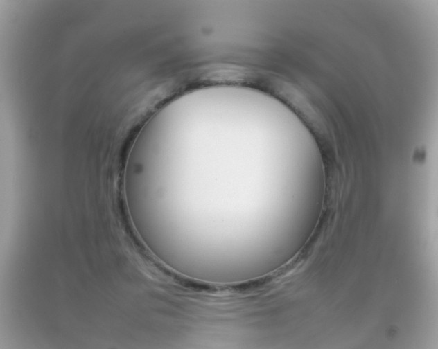 X0000092210309200709140906