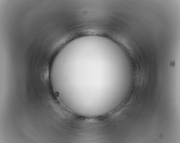 X0000092210310200709140906