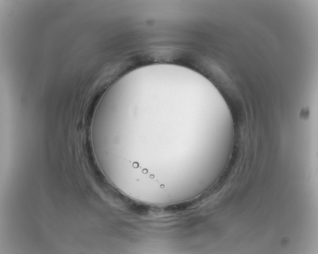 X0000092210311200709140906
