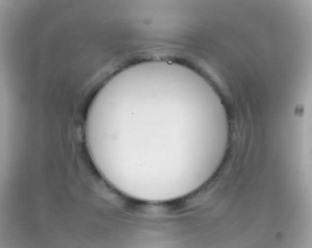 X0000092210313200709140906