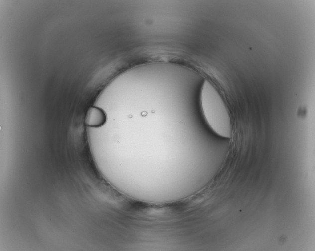 X0000092210314200709140906