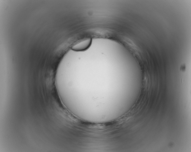 X0000092210318200709140906