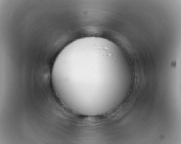 X0000092210320200709140906