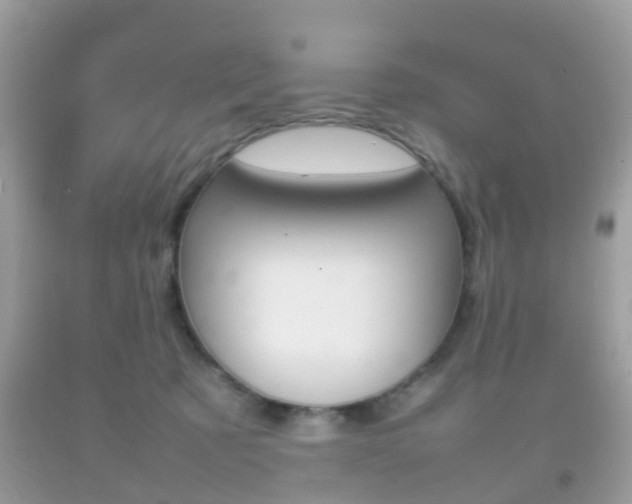 X0000092210321200709140906