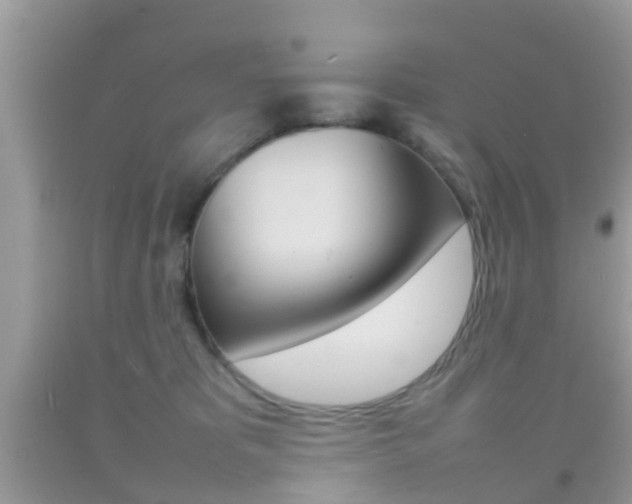 X0000092210325200709140906