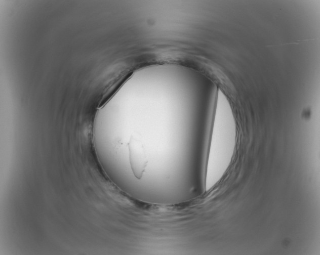 X0000092210329200709140906