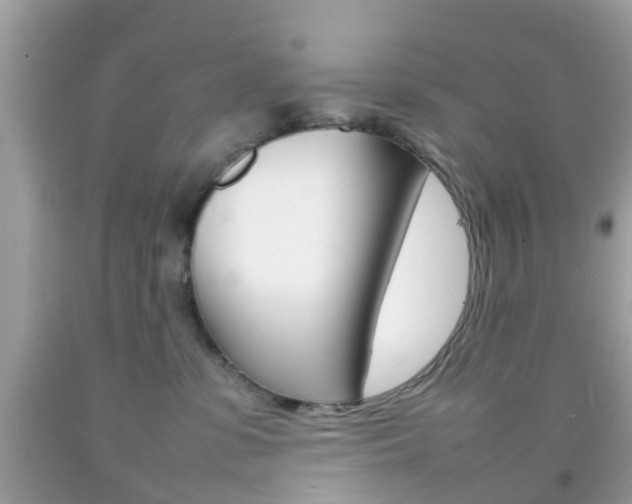 X0000092210331200709140906