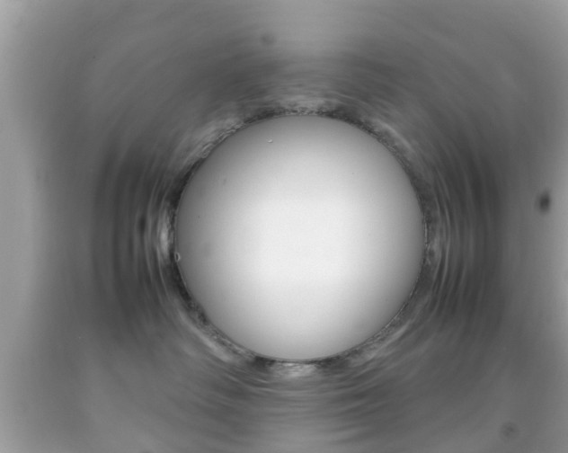 X0000092210334200709140906