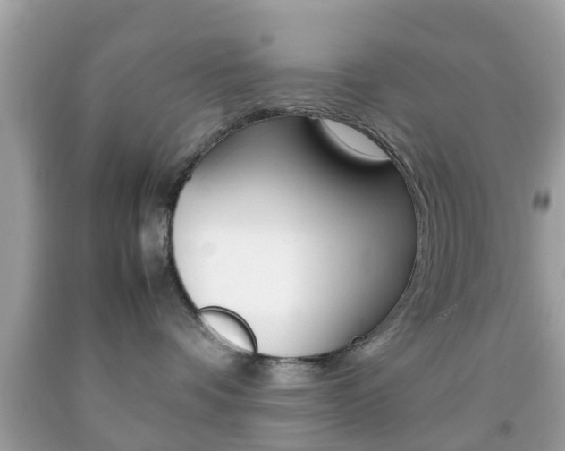 X0000092210336200709140906