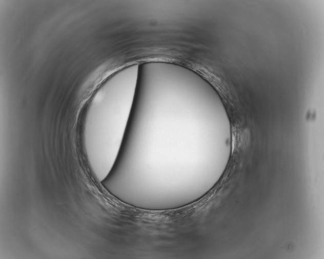 X0000092210339200709140906