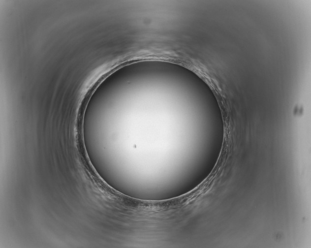 X0000092210340200709140906