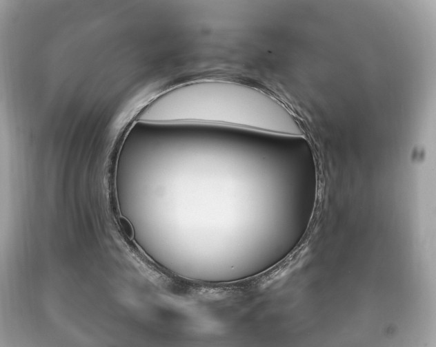 X0000092210341200709140906