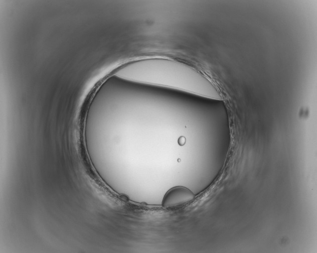 X0000092210342200709140906