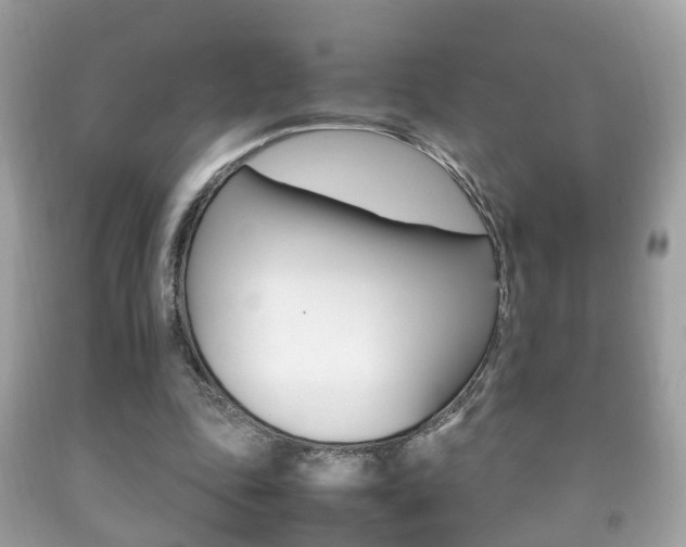 X0000092210343200709140906