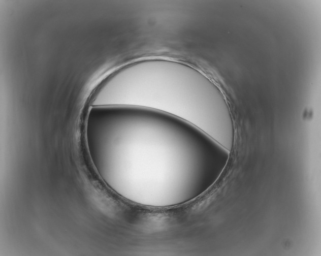 X0000092210344200709140906