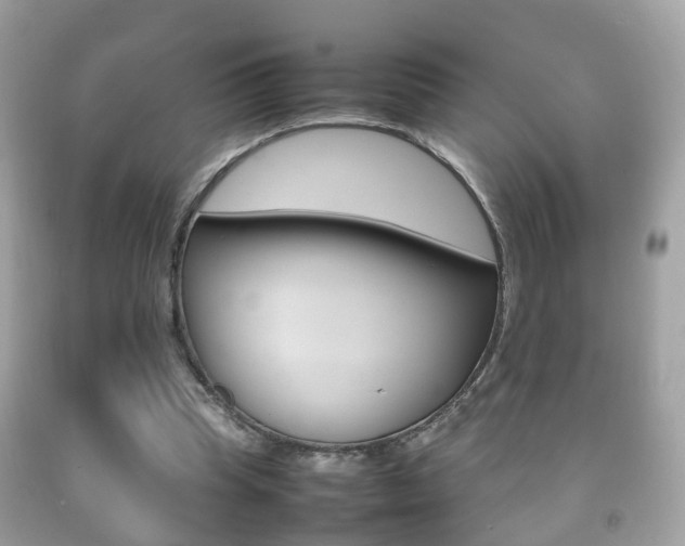 X0000092210345200709140906