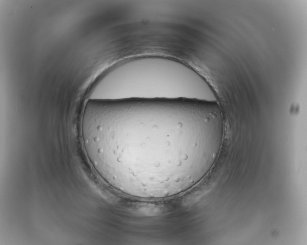 X0000092210347200709140906