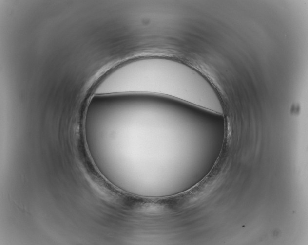 X0000092210348200709140906