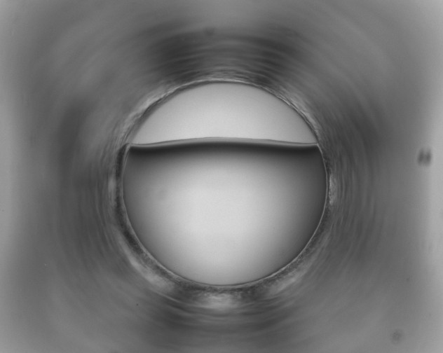 X0000092210349200709140906