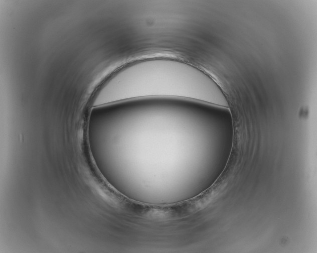 X0000092210350200709140906