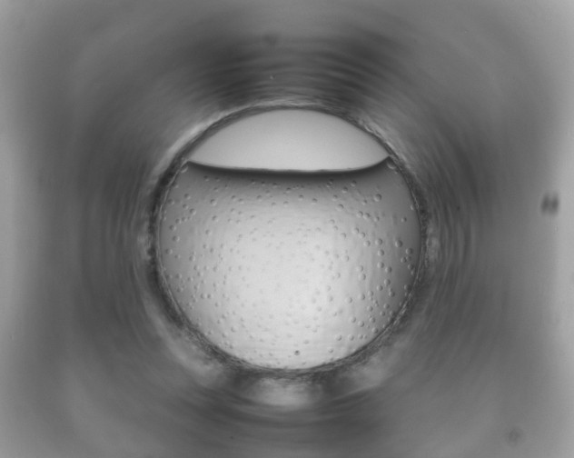 X0000092210351200709140906
