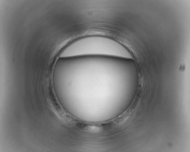 X0000092210352200709140906