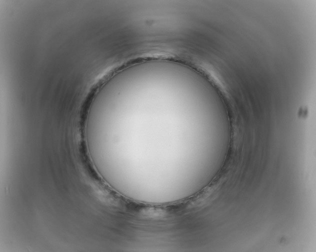 X0000092210354200709140906