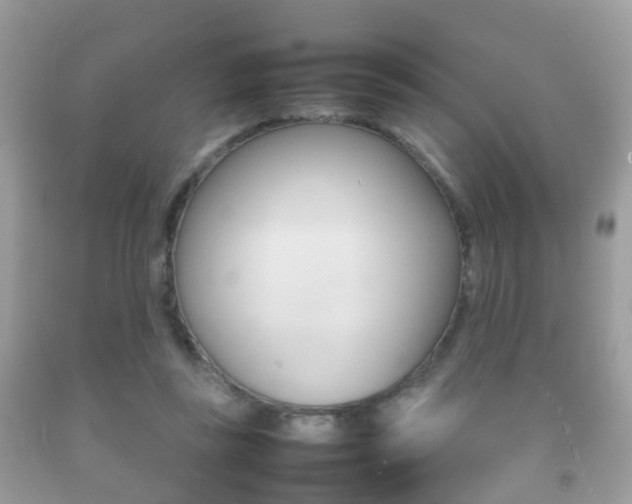 X0000092210355200709140906