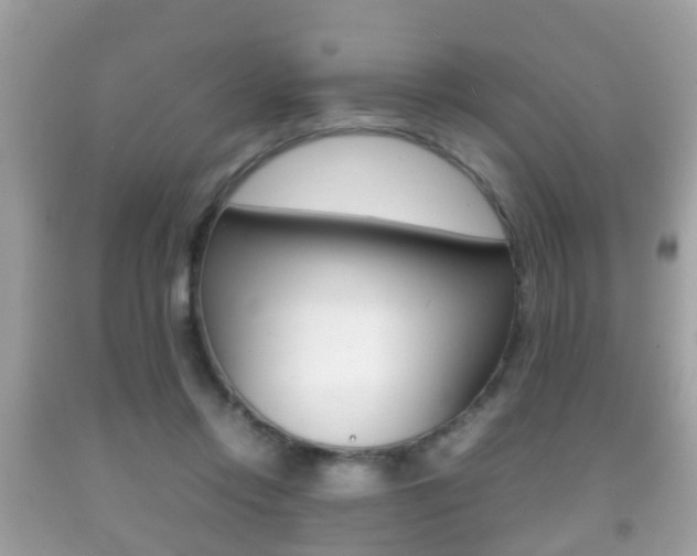 X0000092210358200709140906