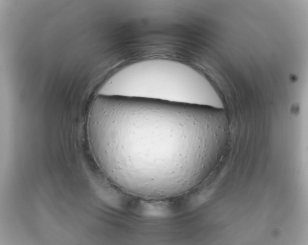 X0000092210359200709140906