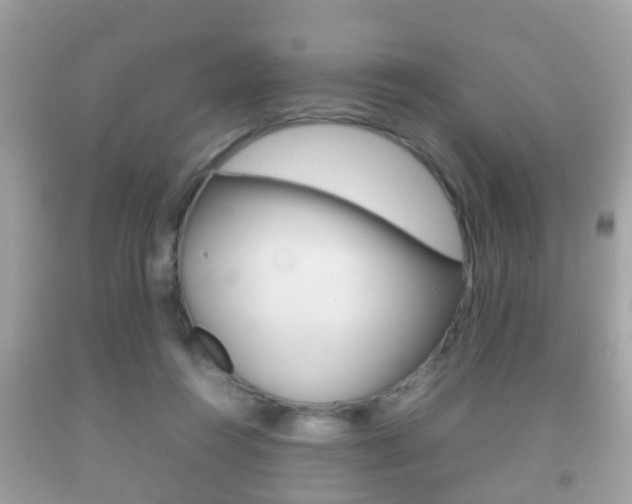 X0000092210360200709140906
