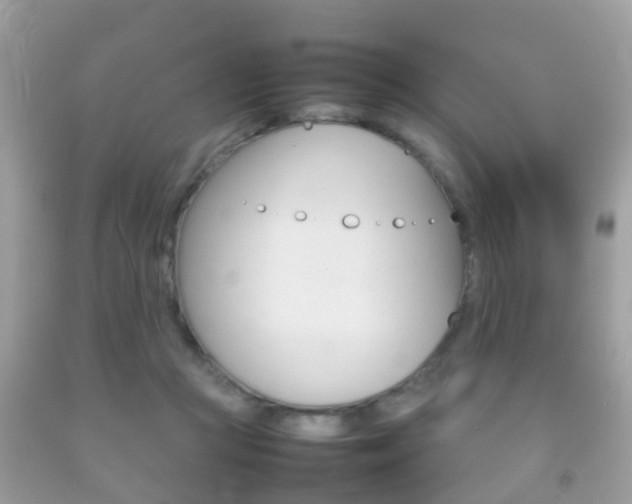 X0000092210361200709140906