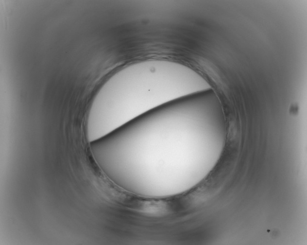 X0000092210363200709140906