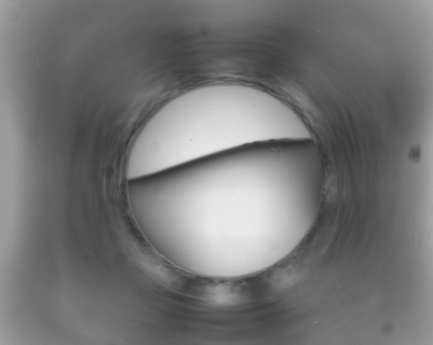 X0000092210365200709140906